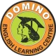 Domino Schooling System